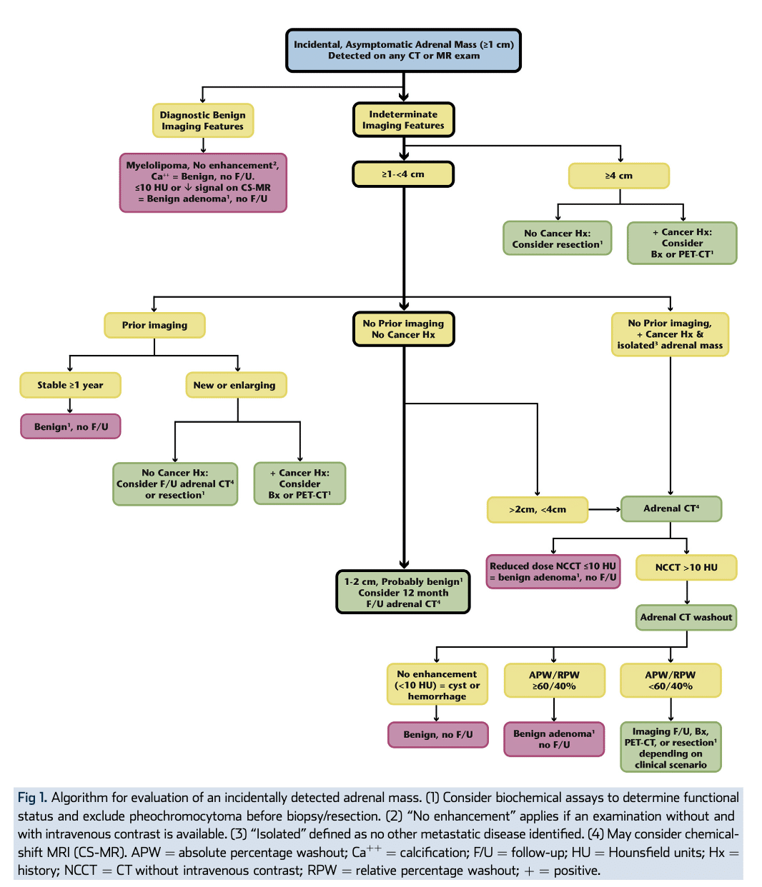 ACR Algorithm for Evaluation of an Incidentally Detected Adrenal Mass